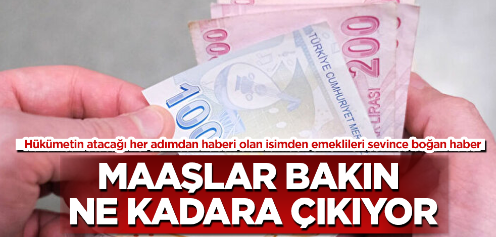 Hükümetin atacağı her adımdan haberi olan isimden emeklileri sevince boğan haber! Maaşlar bakın ne kadara çıkıyor