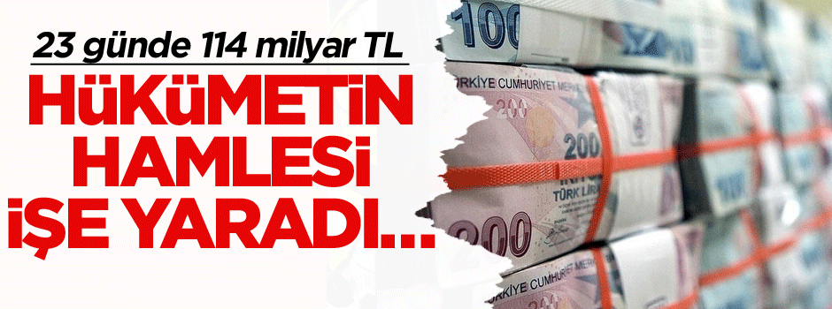 Hükümetin hamlesi işe yaradı… 23 günde 114 milyar TL