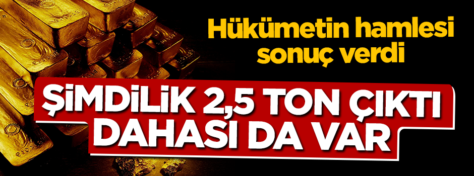 Erdoğan'ın 'altın' çağrısı sonuç verdi