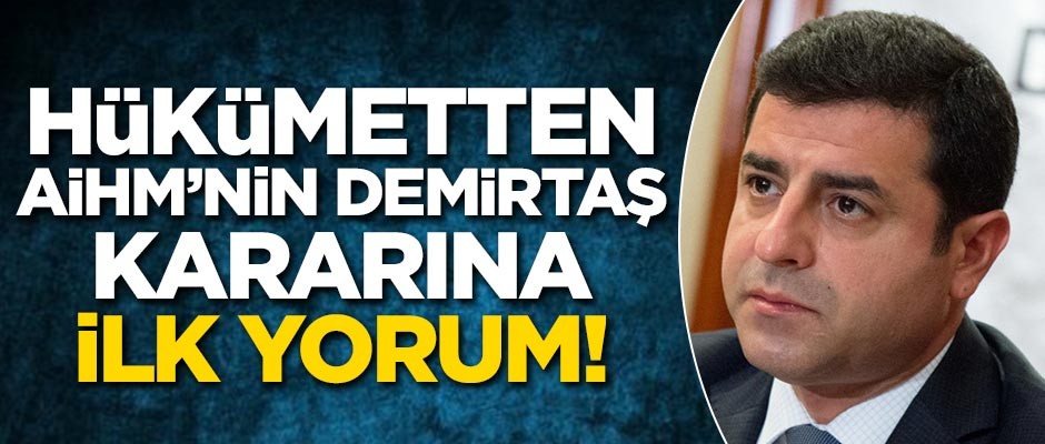 Hükümetten AİHM'nin Demirtaş kararına ilk yorum!