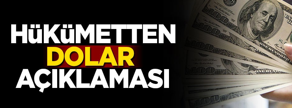 Hükümetten dolar açıklaması