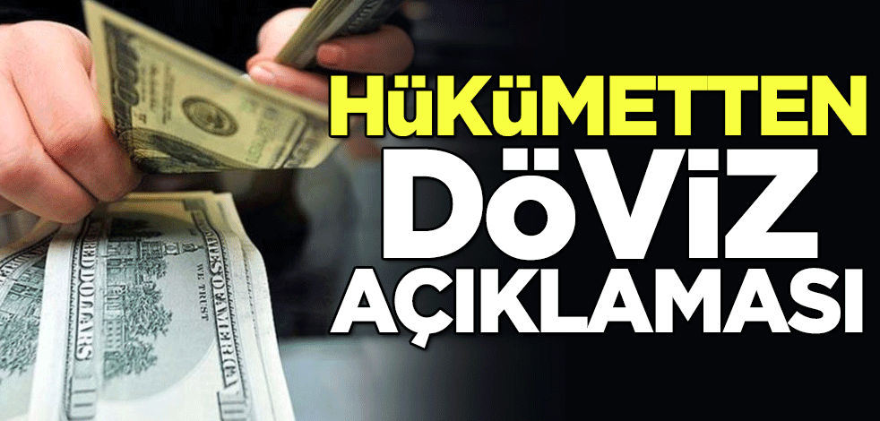 Hükümetten döviz açıklaması