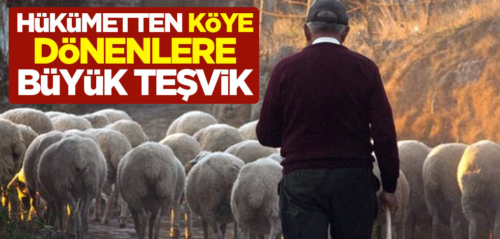 Hükümetten köye dönenlere büyük teşvik!