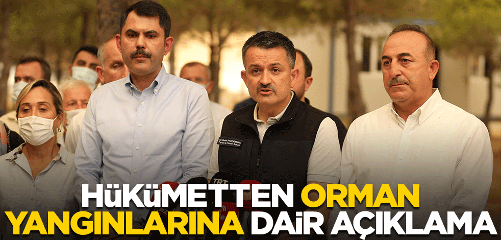 Hükümetten orman yangınlarına dair açıklama