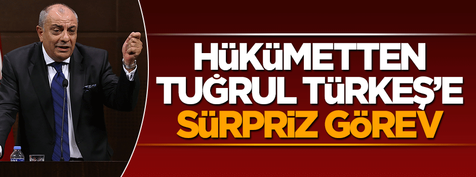 Hükümetten Tuğrul Türkeş'e özel görev