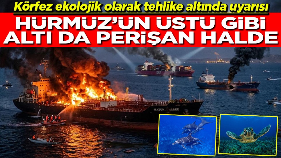 Hürmüz'ün üstü gibi altı da perişan halde