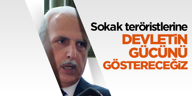 Hüseyin Avni Mutlu: Devletin gücünü göstereceğiz