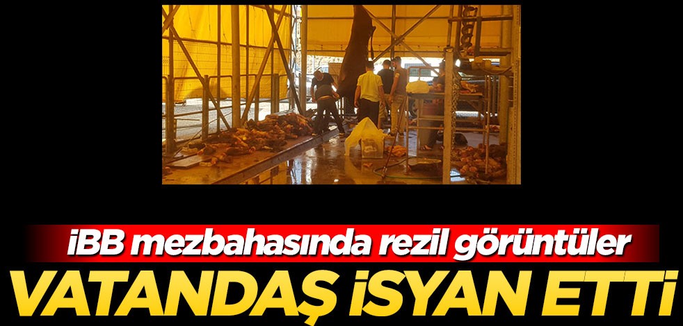 İBB mezbahasında vatandaşlar isyan etti! Mide bulandıran görüntüler