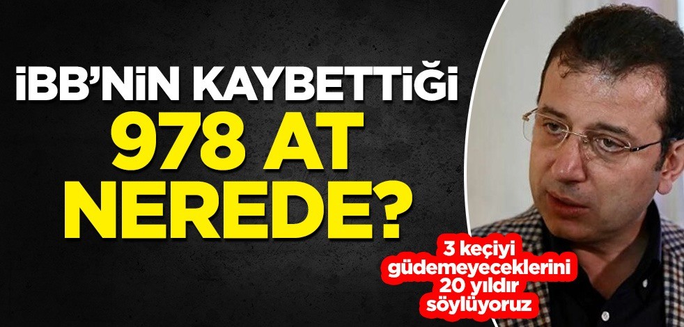 İBB'nin kaybettiği 978 at nerede?
