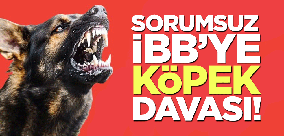 İBB'ye başıboş köpek davası!