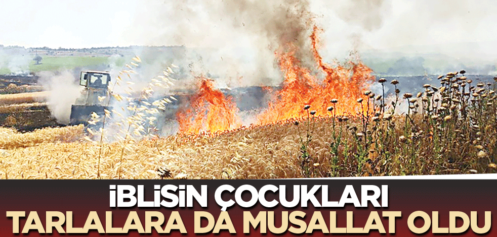 İblisin çocukları tarlalara da musallat oldu