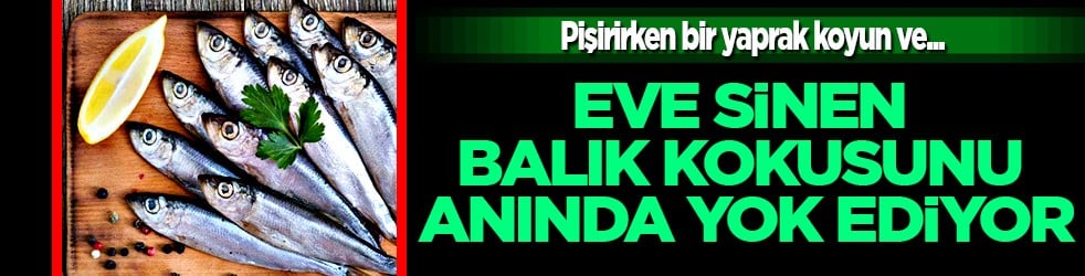 İbn-i Sina öneriyor: Olgunu mideyi iyileştiriyor... Yüzyıllar önce yazdığı reçete 