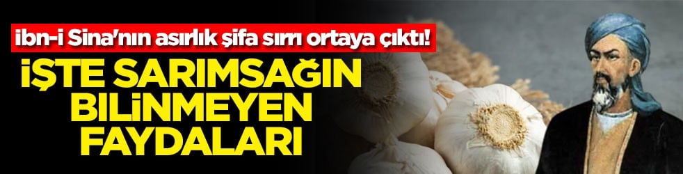 İbn-i Sina'nın asırlık şifa sırrı ortaya çıktı! İşte sarımsağın bilinmeyen faydaları
