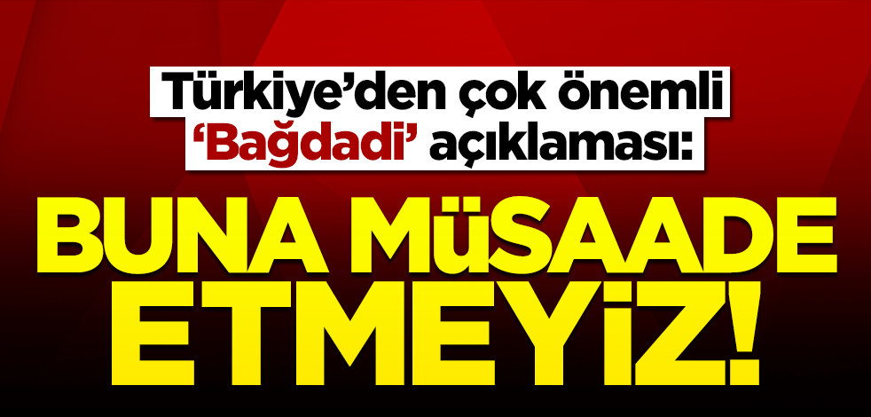 İbrahim Kalın'dan 'Bağdadi' açıklaması