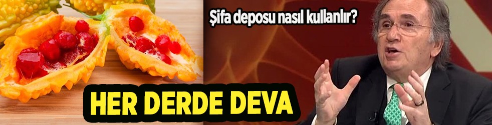 ibrahim saraçoğlu'ndan kudret narının faydaları