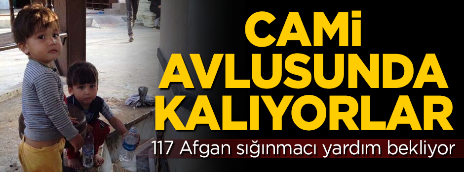 İç savaştan kaçan Afgan sığınmacılar zor durumda! Amasya'da cami avlusunda kalıyorlar