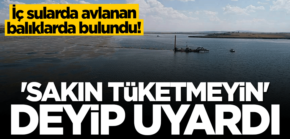 İç sularda avlanan balıklarda bulundu! "Sakın tüketmeyin" deyip uyardı