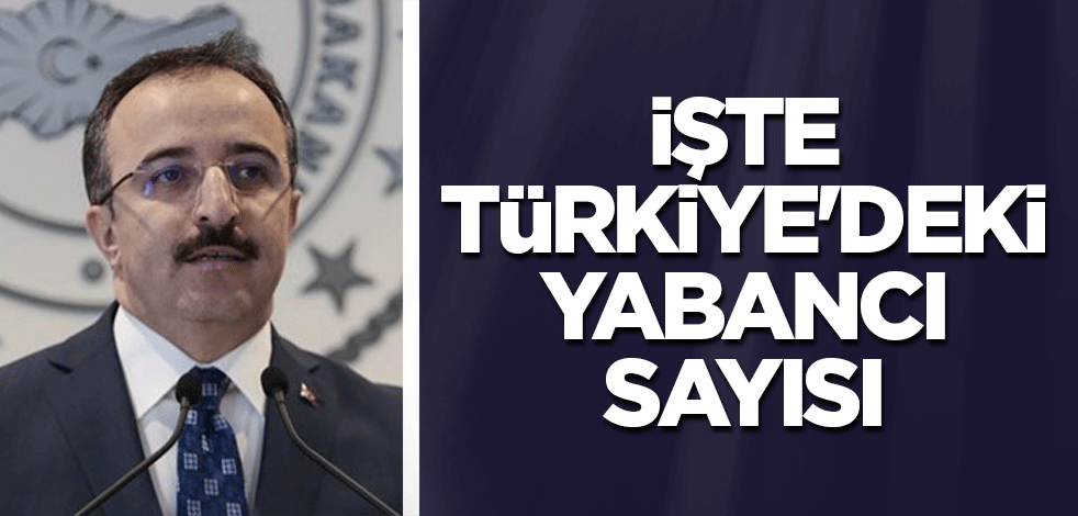 İçişleri Bakan Yardımcısı kritik verileri açıkladı: İşte Türkiye'deki toplam yabancı sayısı