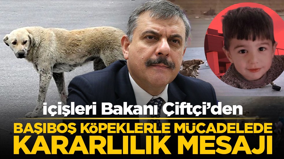 İçişleri Bakanı Çiftçi’den başıboş köpeklerle mücadelede kararlılık mesajı