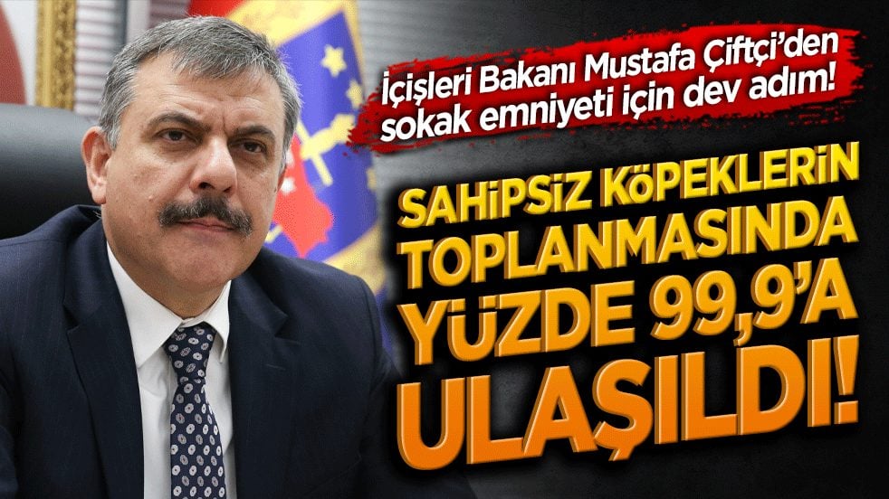 İçişleri Bakanı Mustafa Çiftçi’den sokak emniyeti için dev adım! Sahipsiz köpeklerin toplanmasında yüzde 99,9’a ulaşıldı!