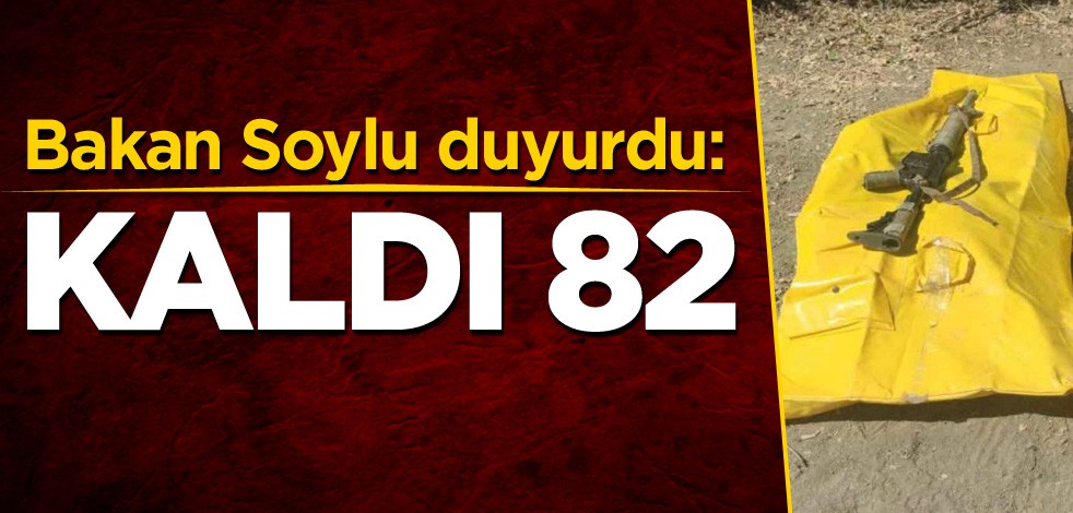 İçişleri Bakanı Soylu duyurdu: Kaldı 82