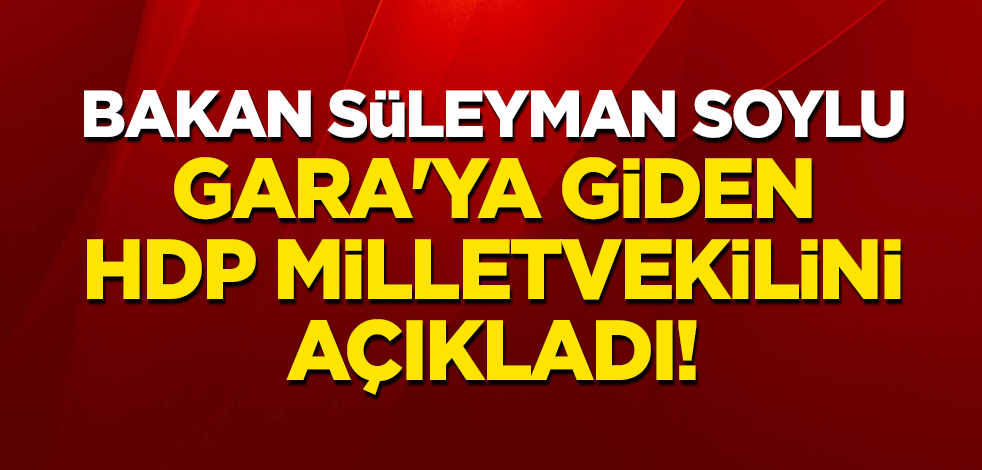 İçişleri Bakanı Süleyman Soylu, Gara'ya giden HDP milletvekilini açıkladı!
