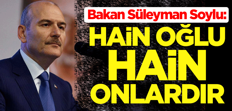 Bakan Soylu: Hain oğlu hain onlardır