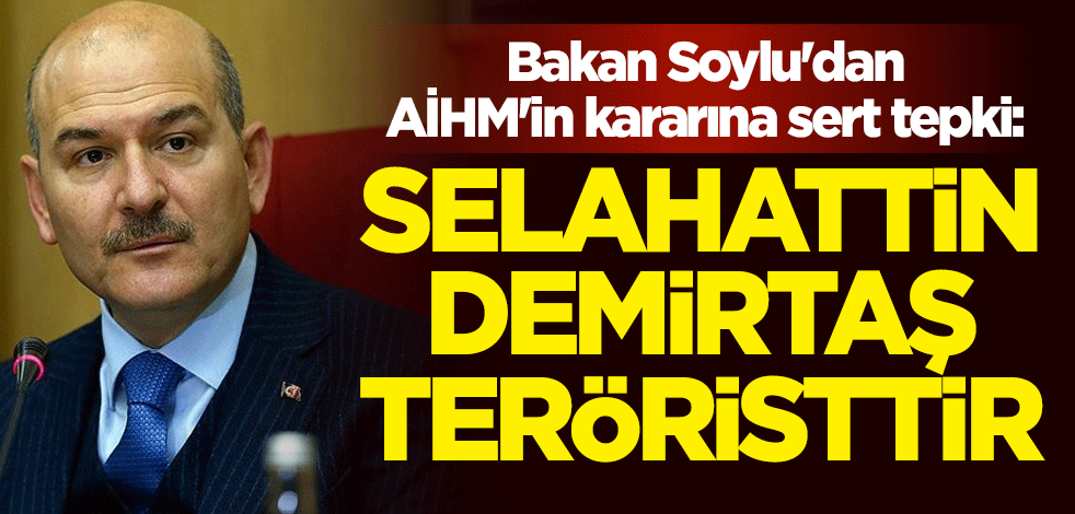 İçişleri Bakanı Süleyman Soylu'dan AİHM'in kararına sert tepki: Selahattin Demirtaş teröristtir