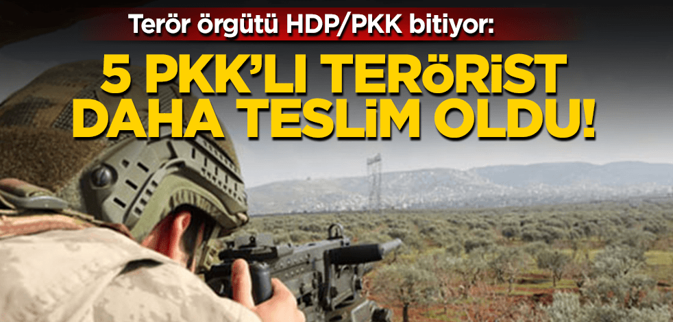 İçişleri Bakanlığı: 5 PKK'lı daha teslim oldu