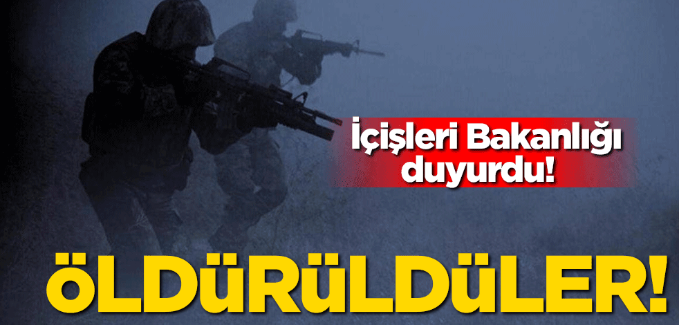 İçişleri Bakanlığı duyurdu! Öldürüldüler