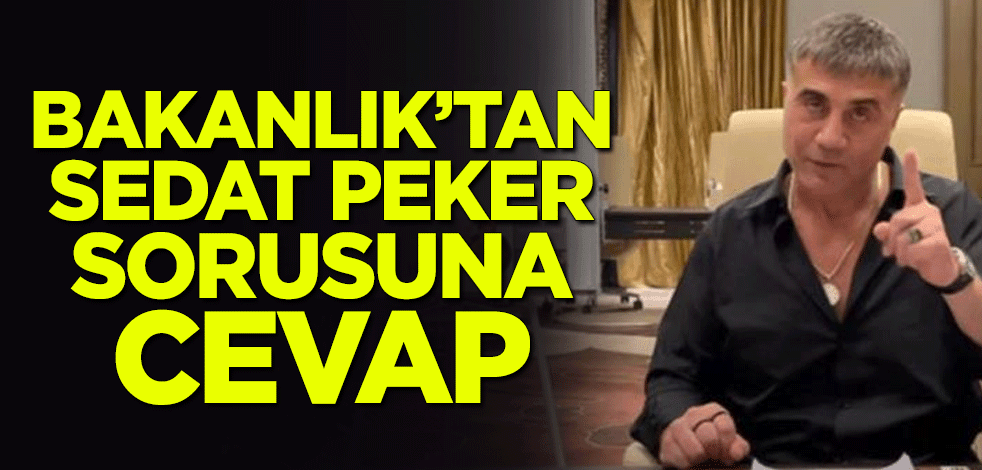 İçişleri Bakanlığı Europol Daire Başkanı Lütfi Çiçek'ten Sedat Peker sorusuna cevap