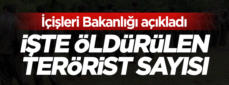 İçişleri Bakanlığı, öldürülen terörist sayısını açıkladı