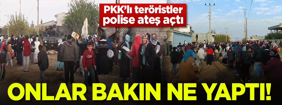 İdil'de bir grup polise ateş açan PKK'ya kalkan oldu