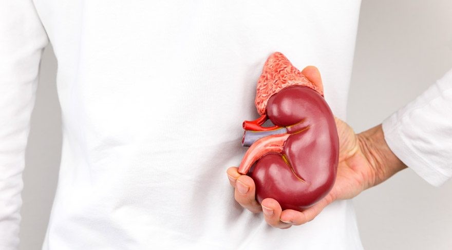 İdrar yollarındaki enfeksiyon ve iltihabı söken çaylar