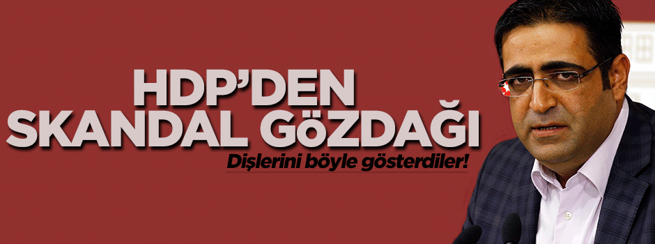 İdris Baluken: Kendi kitlemizi zor tutuyoruz