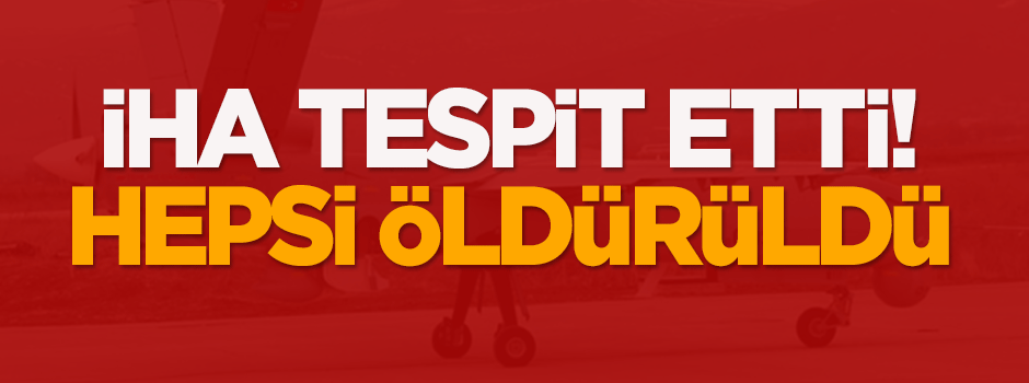 İHA tespit etti! Hepsi öldürüldü