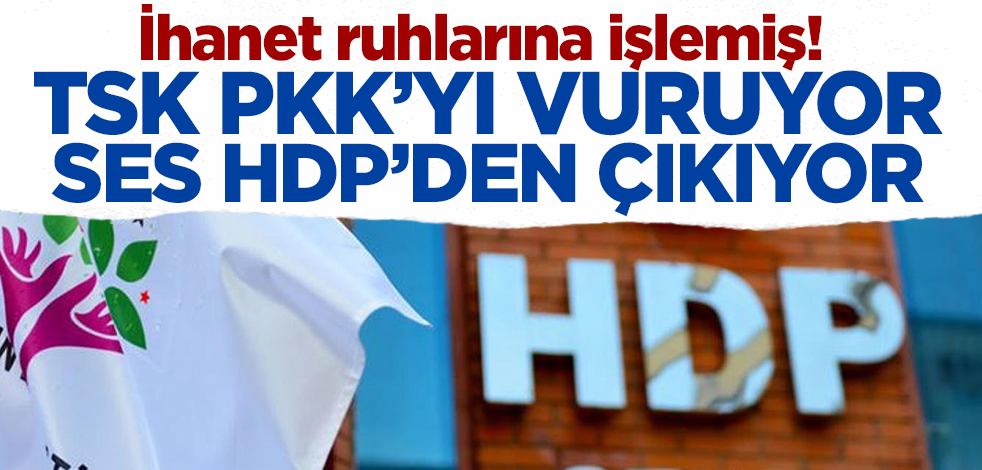 İhanet ruhlarına işlemiş! TSK PKK'yı vuruyor ses HDP'den çıkıyor...