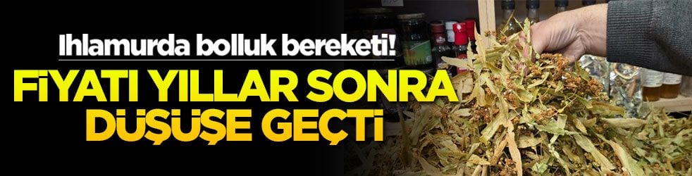 Ihlamurda bolluk bereketi! Fiyatı yıllar sonra düşüşe geçti