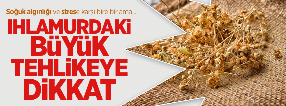 Ihlamur'daki büyük tehlikeye dikkat