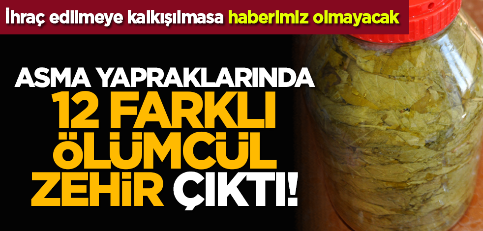 İhraç edilmeye kalkışılmasa haberimiz olmayacak: Asma yapraklarında 12 farklı ölümcül zehir çıktı!
