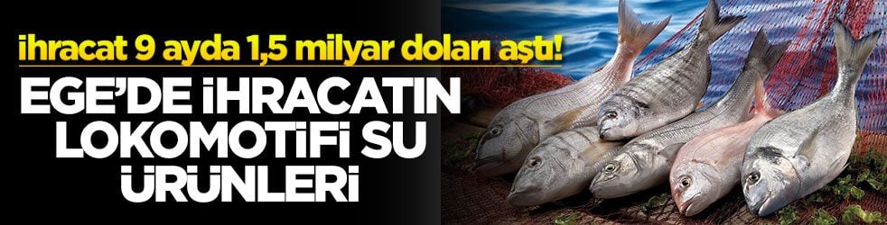 İhracat 9 ayda 1,5 milyar doları aştı! Ege’de ihracatın lokomotifi su ürünleri