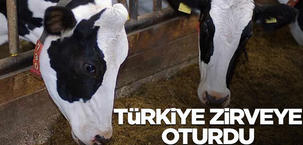 İhracatta rekor: Türkiye o ülkeyle beraber zirveye oturdu