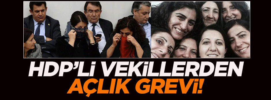 İki HDP'li vekil açlık grevine başladı