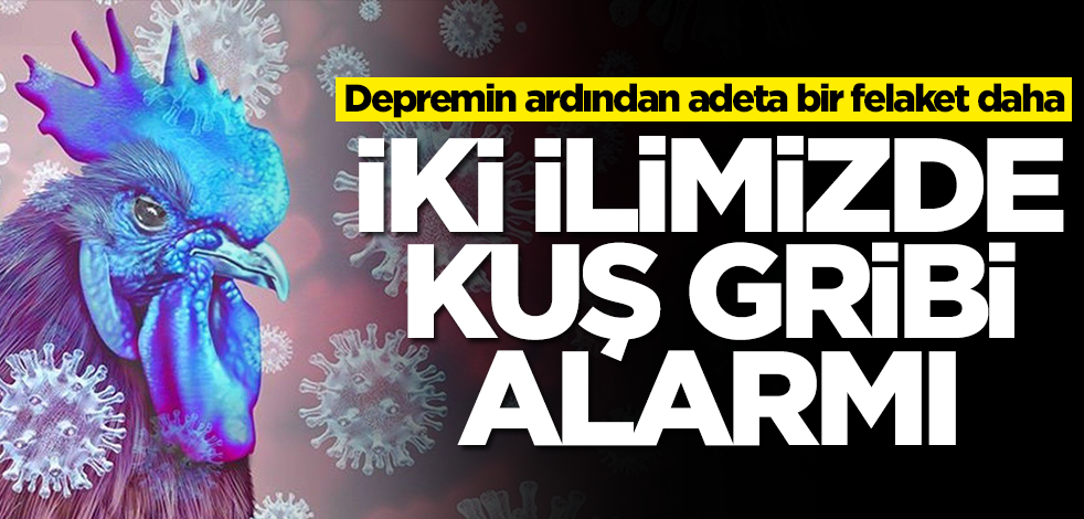 İki ilimizde kuş gribi alarmı! Depremin ardından adeta bir felaket daha