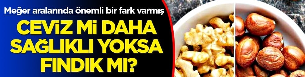 İki kuruyemiş ile hastalıkları kovun: Ceviz mi sağlıklı yoksa fındık mı? Meğer aralarında önemli beş fark varmış! 