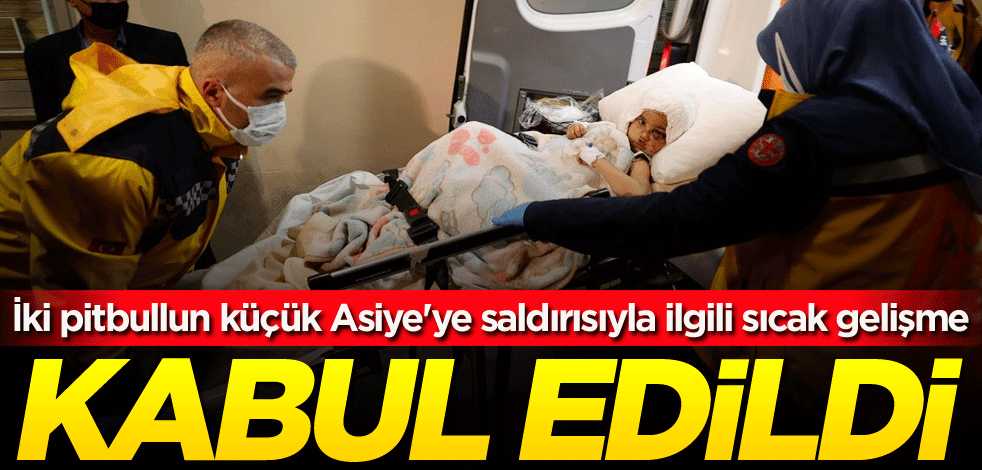 İki pitbullun küçük Asiye'ye saldırısıyla ilgili sıcak gelişme! Kabul edildi