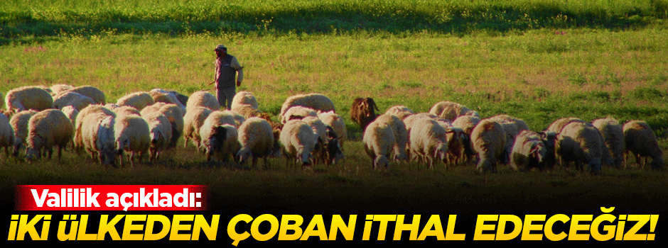 İki ülkeden çoban ithal edeceğiz!