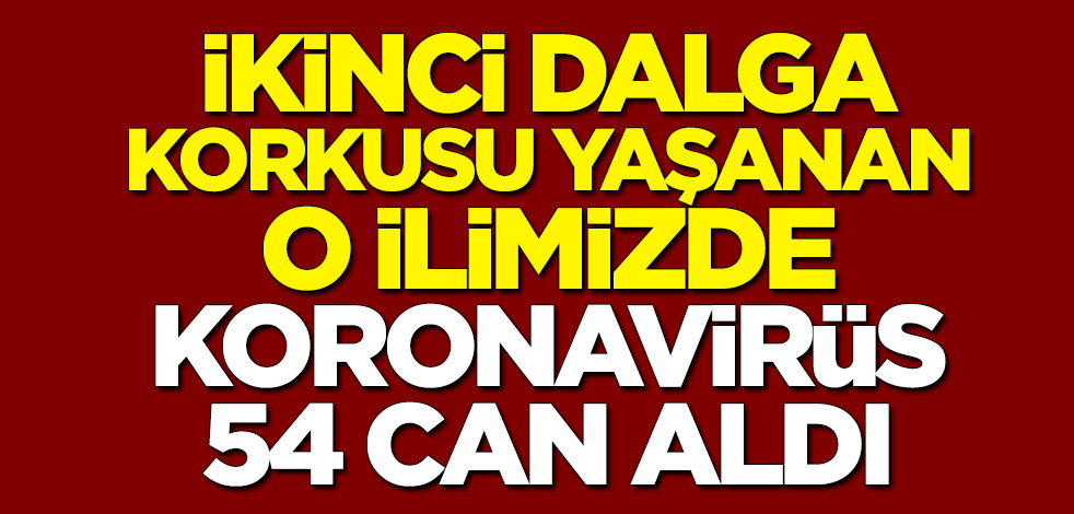 İkinci dalga korkusu yaşanan Diyarbakır'da koronavirüs 54 can aldı, 205 aktif vaka var