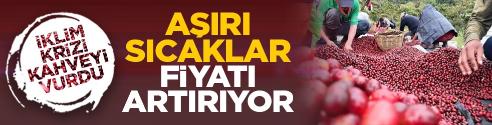İklim krizi kahveyi vurdu: Aşırı sıcaklar fiyatı artırıyor