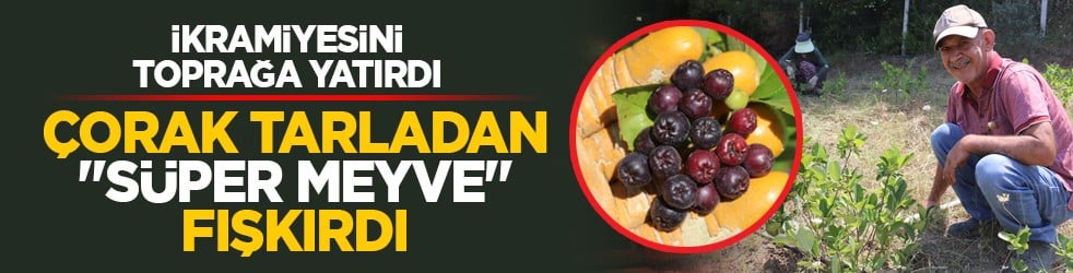 İkramiyesini toprağa yatırdı: Çorak tarladan 